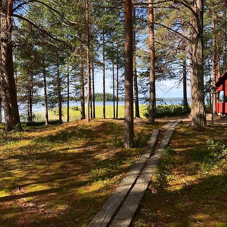 Luontohotelli Sapson Helmi Sotkamo Bagian luar foto
