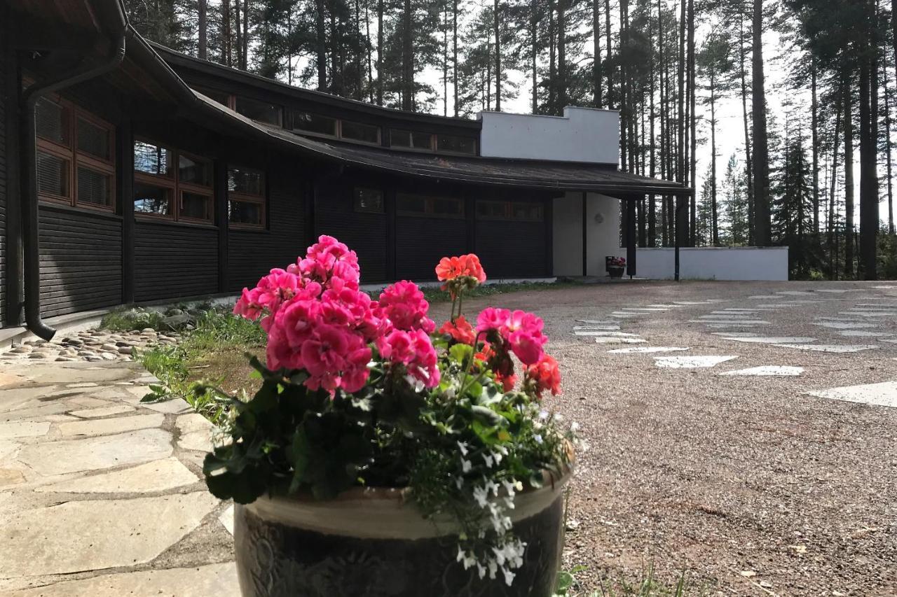 Luontohotelli Sapson Helmi Sotkamo Bagian luar foto